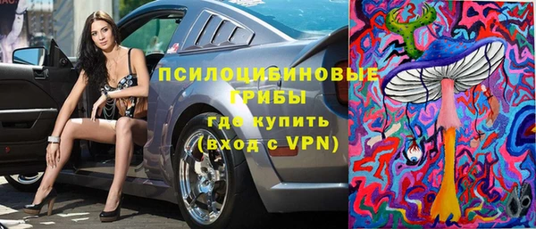 Альфа ПВП Гусь-Хрустальный