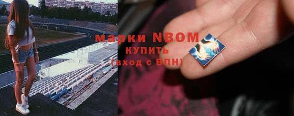 Альфа ПВП Гусь-Хрустальный