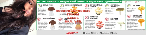 мескалин Гусев