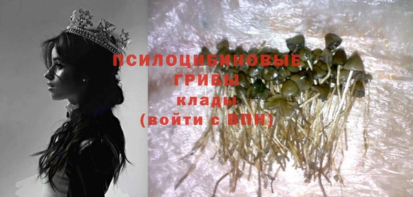 мескалин Гусев