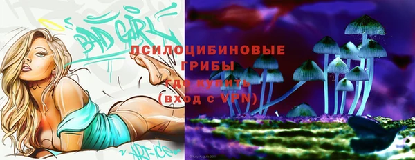 марки nbome Гусиноозёрск