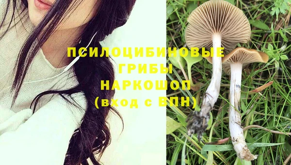 Альфа ПВП Гусь-Хрустальный