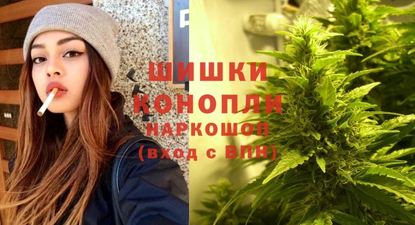 Альфа ПВП Гусь-Хрустальный