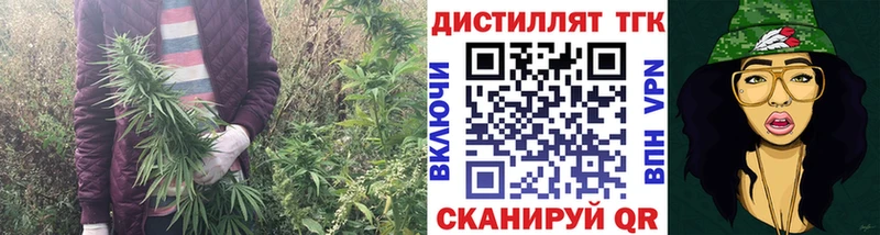 ТГК Wax  Купить  Тихорецк 